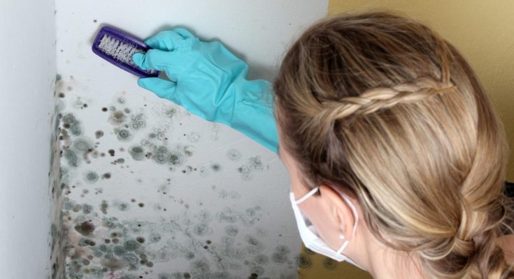Mold Exposure Symptoms