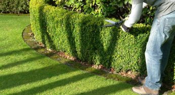 Landscape Services Near Me: How To Choose a Landscaping Service