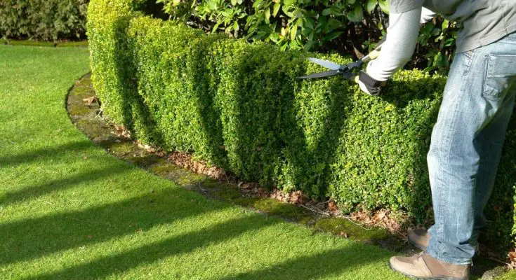 Landscape Services Near Me