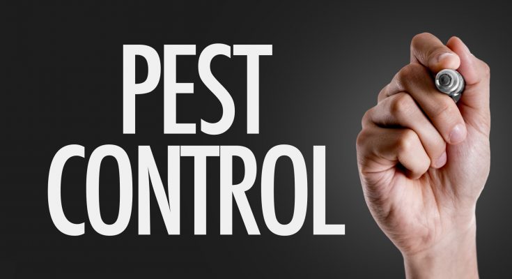 pest management