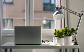 Best Plants for the Office