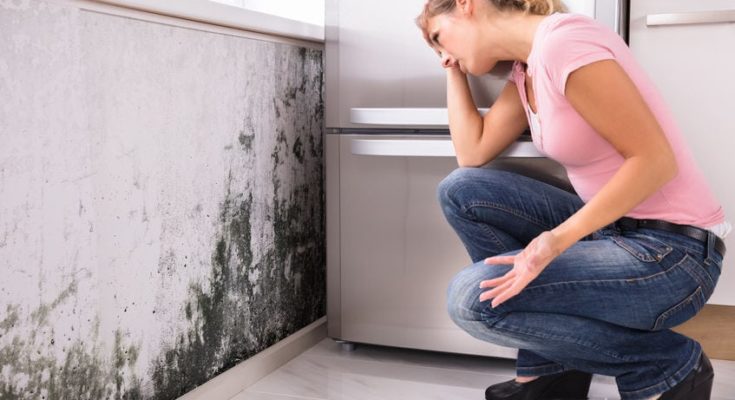 HOUSING DISREPAIR CLAIMS