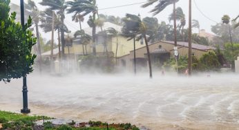 What Homeowners Should Know About Repairing Hurricane Damage