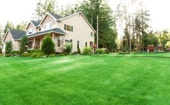 Landscaping Issues To Consider Before You Buy a House