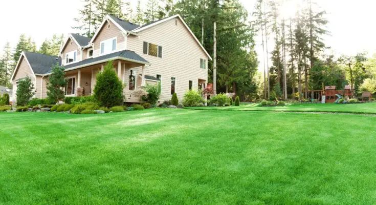 Landscaping Issues To Consider Before You Buy a House