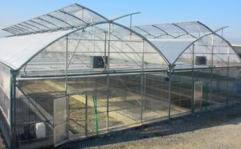 Greenhouse Construction