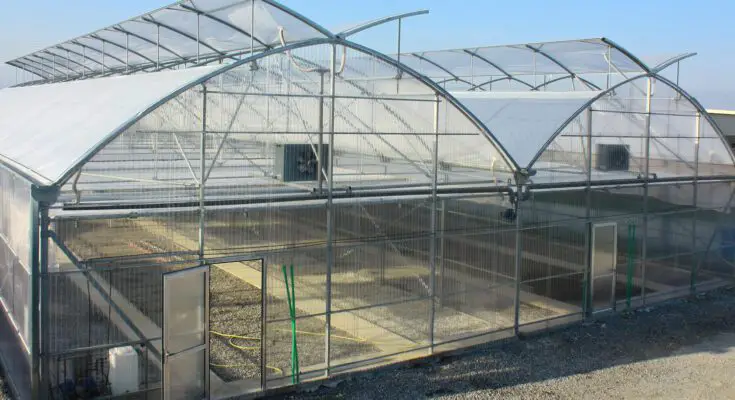 Greenhouse Construction