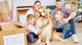 Tips For A Seamless Move With Children And Pets
