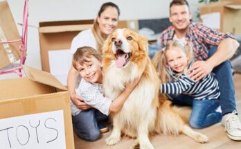 Move With Children And Pets