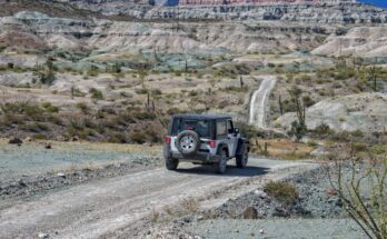 Reasons Why a Jeep Wrangler Is the Perfect Summer Car