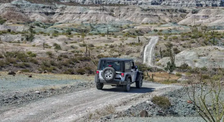 Reasons Why a Jeep Wrangler Is the Perfect Summer Car