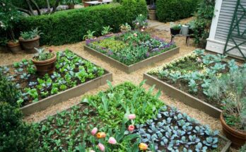 Types of Garden Beds