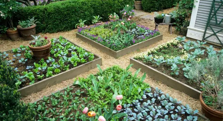 Types of Garden Beds