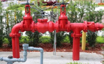 Best Options for Outdoor Backflow Preventer Enclosures