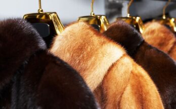 The Differences Between Fur, Wool, and Hair