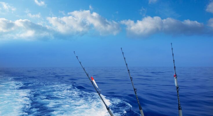 Book a Fishing Charter