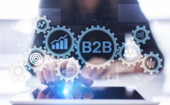 Boost Your B2B Business