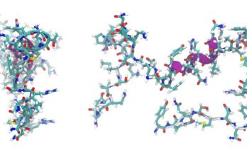 nteresting Facts About Peptides