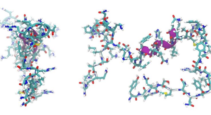 nteresting Facts About Peptides