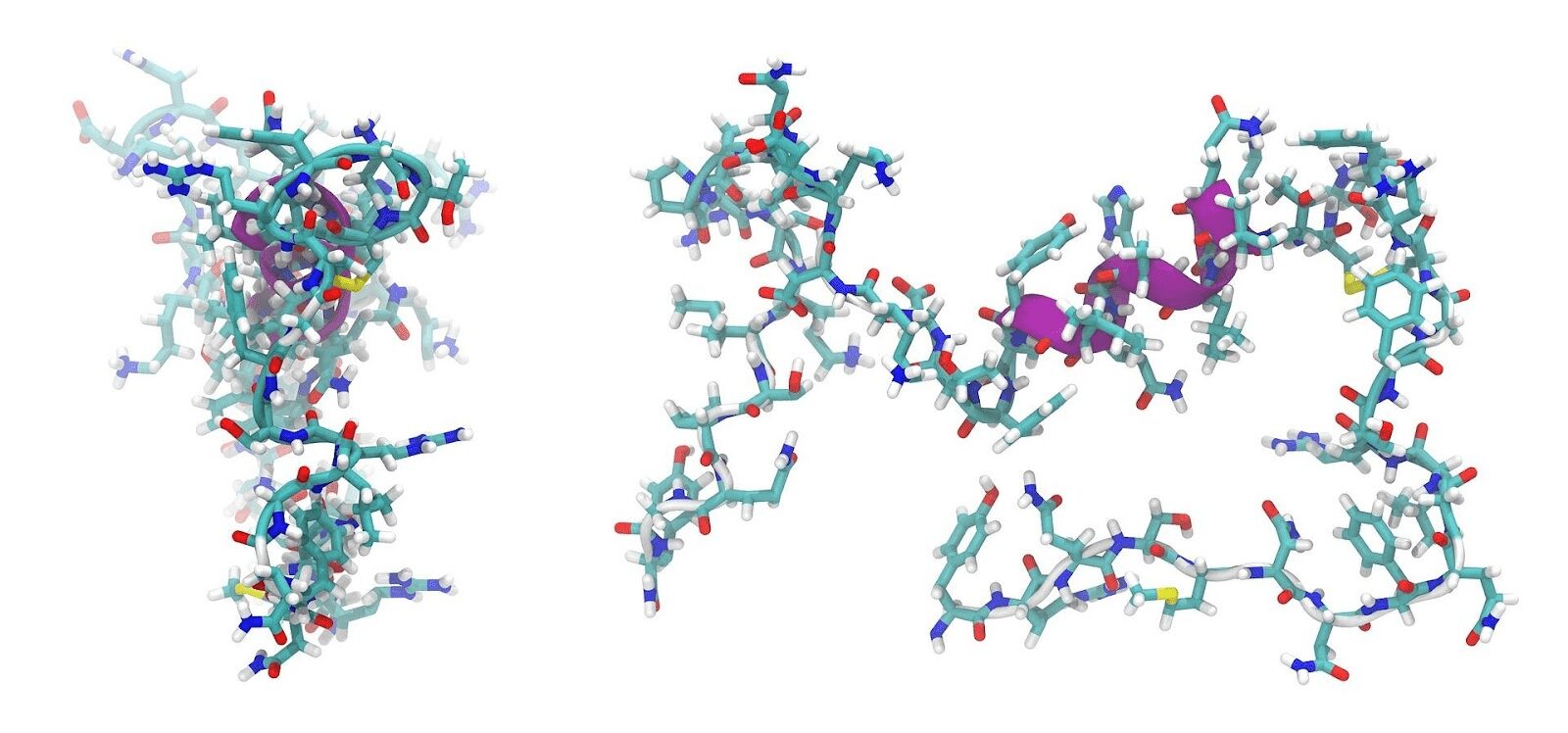 nteresting Facts About Peptides