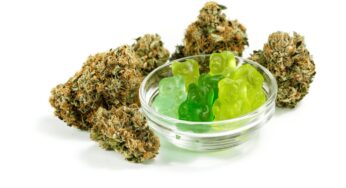 Four Common Questions About Marijuana Gummies