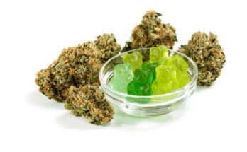 Marijuana Gummies