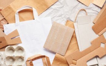 How Paper Packaging Contributes to a Circular Economy