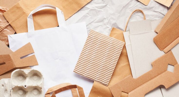 How Paper Packaging Contributes to a Circular Economy
