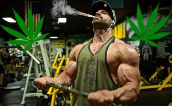 Cannabis and Workouts