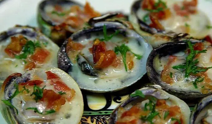 oyster and clam differences