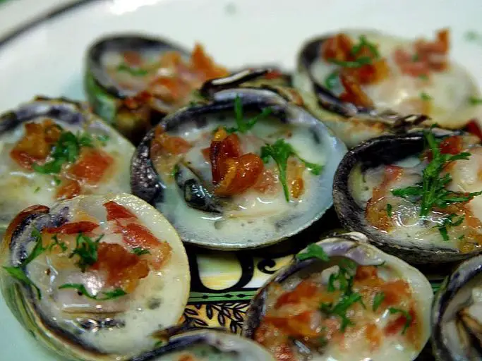oyster and clam differences