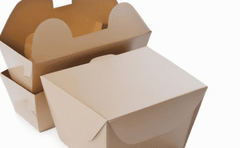 Types of Cardboard Lunch Boxes