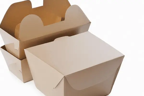 Types of Cardboard Lunch Boxes