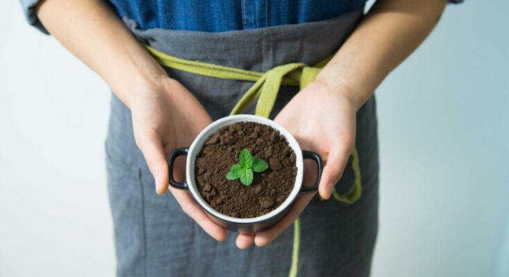 6 Sustainable Habits to Incorporate into Your Life