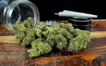 Marijuana Medical Strains