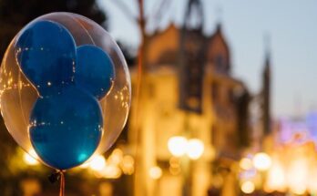 Popular Rides at Magic Kingdom