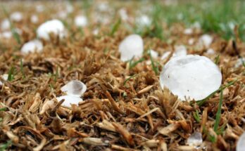 Top Signs That Its Time to Take Your Hail Damaged Vehicles for Repairs
