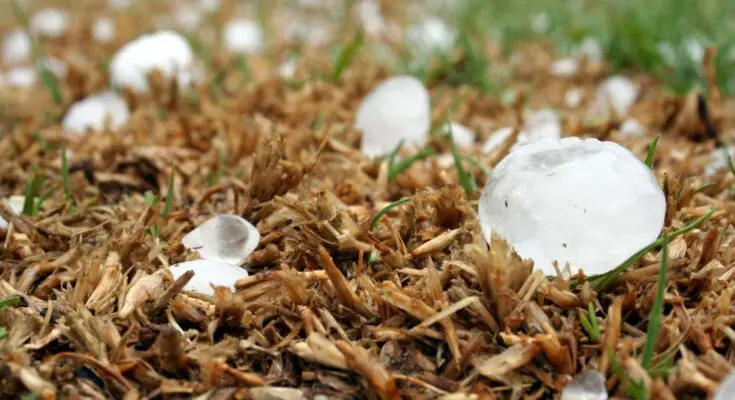 Top Signs That Its Time to Take Your Hail Damaged Vehicles for Repairs