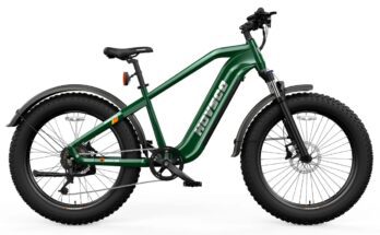 Electric Mountain Bike