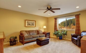 Carpet Cleaning for Phoenix Residents