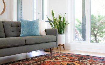 Facts About Colorful Area Rugs