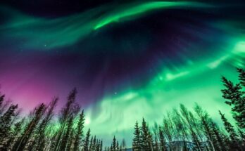 How to Catch and Enjoy Northern Lights in Canada