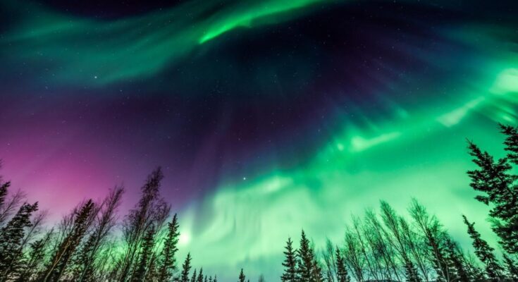 How to Catch and Enjoy Northern Lights in Canada