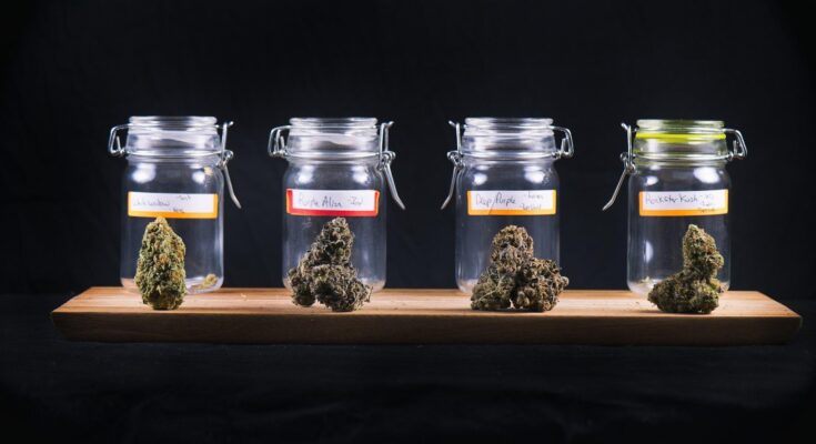 How to Start a Mobile Dispensary in the Cannabis Industry