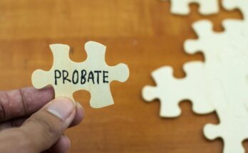 Probate Lawyer