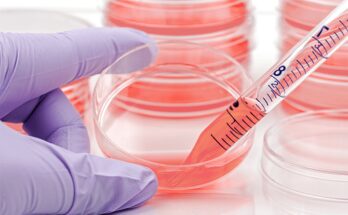 Key Factors That Impact Cell Culture Success