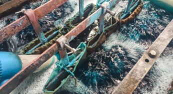 Electroplating: 3 Things You Need To Know