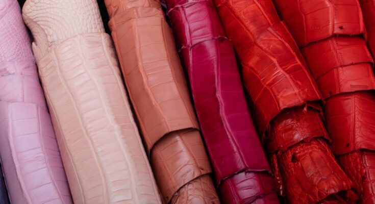 Understanding the Benefits of Exotic Leather