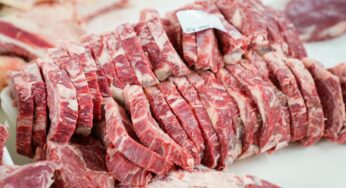 An Introduction to Grass-Fed Beef