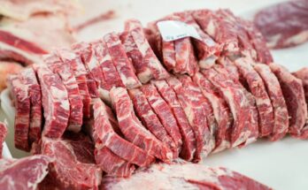 Introduction to Grass-Fed Beef